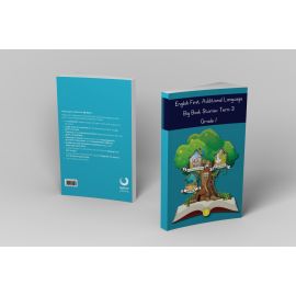 Grade 1 Big Book Stories: Term 3