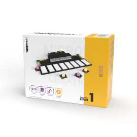 Grade 4: Micro:bit Fundamentals